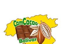 Productores de Cacao de Bolívar se organizan para aumentar la productividad local
