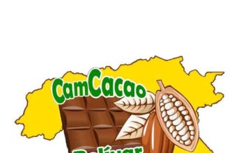 Productores de Cacao de Bolívar se organizan para aumentar la productividad local