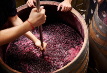 Productores de El Jarillo se reinventan con la elaboración de vinos artesanales
