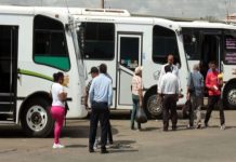 Transporte interurbano preparado para cubrir demanda de temporada decembrina