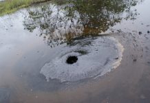 Maduro aprueba plan para reactivar la explotación del Lago de Guanoco, la mayor reserva de asfalto natural del mundo