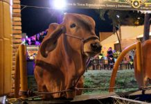 Feria agropecuaria del estado Tachira arranca este 14 de enero