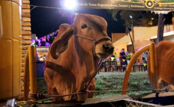 Feria agropecuaria del estado Tachira arranca este 14 de enero