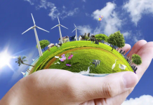 De la promesa a la regulación: El nuevo lenguaje de la sostenibilidad en Colombia