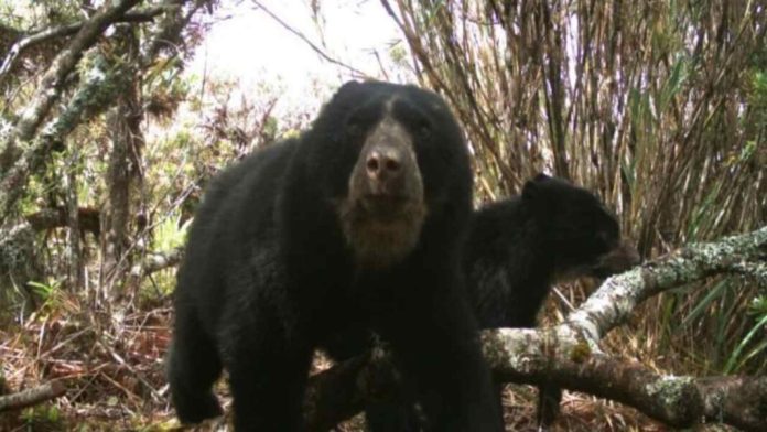 53e0537d-0a0b-4c49-8b35-36cee6946c3a-1-1068x601