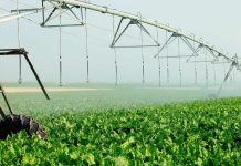 Aphix: Innovación en tecnología para proteger los cultivos