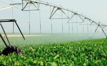 Aphix: Innovación en tecnología para proteger los cultivos