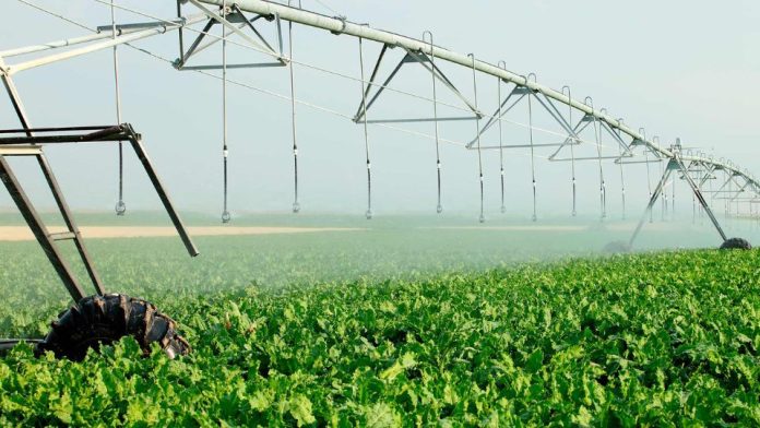 Diseño sin título (4)