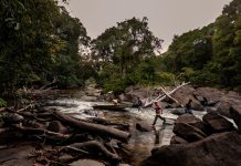 Un nuevo informe mundial pone de relieve el lento avance en la ampliación de la tenencia segura de la tierra
