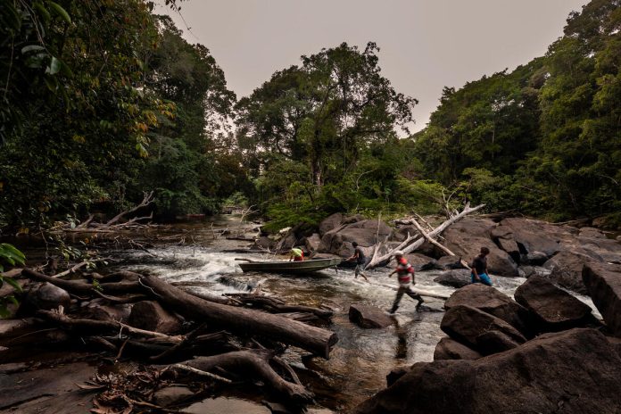 GUYANA 2020. Sustainable Wildlife Management (SWM) Programme act