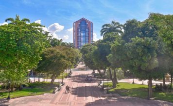 Aragua mantiene optimismo comercial con la llegada de nuevas inversiones