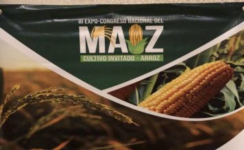 Productores participarán en el tercer congreso del arroz y maíz 2026 en Barquisimeto