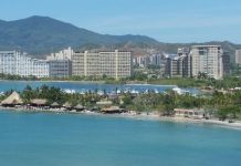 Margarita más allá del turismo: Éxito en exportación de algas marca el inicio de 2026