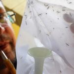 Infectóloga advierte que casi el 70 % del territorio venezolano es endémico para fiebre amarilla