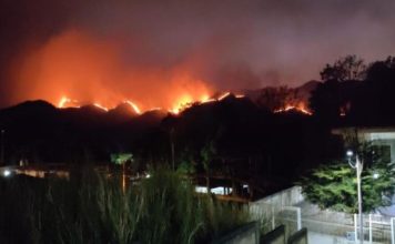 Incendios en el Parque Nacional Henri Pittier afectan fauna local