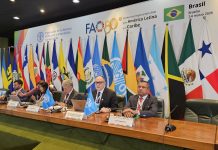 FAO presenta resultados regionales y llama a fortalecer la transformación de los sistemas agroalimentarios