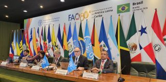 FAO presenta resultados regionales y llama a fortalecer la transformación de los sistemas agroalimentarios