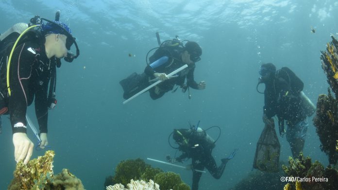 Buzos en actividades de monitoreo