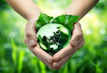 La sostenibilidad como variable para optimizar la rentabilidad