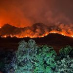 Continúan labores para combatir incendio en el parque Henri Pittier