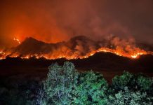 Continúan labores para combatir incendio en el parque Henri Pittier