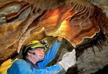 Sociedad Venezolana de Espeleología celebra 59 años explorando cuevas en el país Sociedad Venezolana de Espeleología