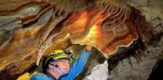 Sociedad Venezolana de Espeleología celebra 59 años explorando cuevas en el país Sociedad Venezolana de Espeleología