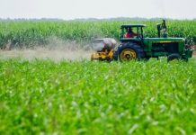 Bolpriaven abre las puertas a pequeños productores con financiamientos