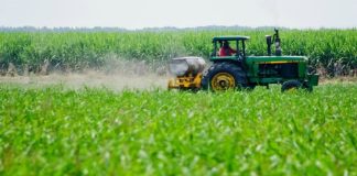 Bolpriaven abre las puertas a pequeños productores con financiamientos