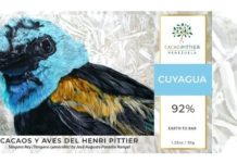 UrbanCacao de Cacao Pittier: La siembra de cacao en ciudades Cacao Pittier