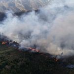 Despliegue nacional contiene incendios forestales en pulmones vegetales estratégicos