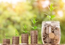 El nuevo estándar bancario: La sostenibilidad como eje de rentabilidad global