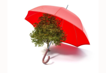 Empresas B en Venezuela: Negocios que buscan ser los mejores para el mundo