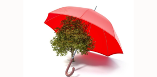 Empresas B en Venezuela: Negocios que buscan ser los mejores para el mundo