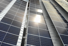 Griin Energy democratiza la energía solar corporativa