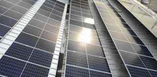 Griin Energy democratiza la energía solar corporativa