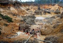 Nueva Ley Orgánica de Minas y sus deudas ambientales Ley Orgánica de Minas