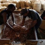 UE presenta nuevo reglamento para importación de café y cacao a productores venezolanos