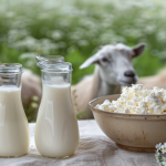 Leche de cabra: El aliado nutricional y terapéutico que gana terreno en Venezuela