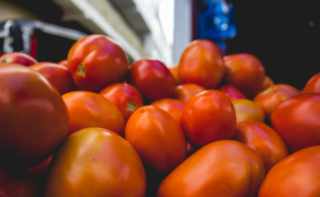 Precio del tomate se disparó 391% en mercados populares de Caracas entre marzo y abril