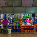 Las mujeres sostienen el 62% del procesamiento pesquero en América Latina, pero siguen excluidas de las decisiones del sector