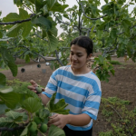 FAO impulsa relevo generacional en la agricultura familiar con inclusión digital y financiera