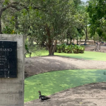 Lagos y áreas verdes del Parque del Este sucumben ante la sequía y la falta de recursos