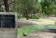 Lagos y áreas verdes del Parque del Este sucumben ante la sequía y la falta de recursos