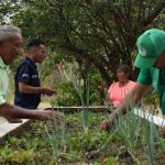 De la emergencia a la recuperación: se fortalece la producción agrícola en Apure