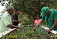 De la emergencia a la recuperación: se fortalece la producción agrícola en Apure