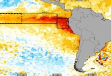 Promedio de precipitaciones podría disminuir hasta un 72% por fenómeno de El Niño