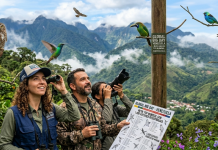 Global Big Day: Venezuela busca el top mundial con 1.400 especies registradas