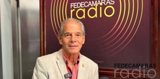Rafael Trejo: «hace falta solucionar la crisis eléctrica para avanzar con exportaciones»