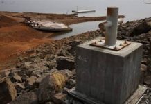 Fenómeno de El Niño podría afectar la siembra de maíz